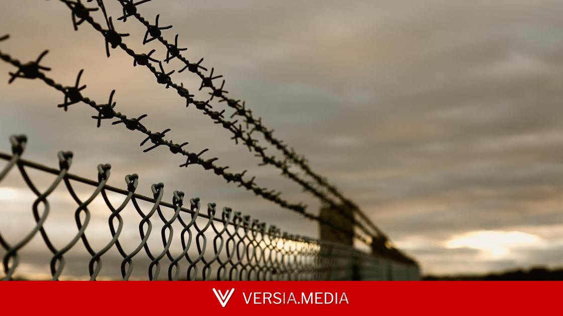 Нанес 29 ножевых и пытался уехать за границу: жуткие детали убийства 12-летней девочки, ушедшей за грибами в Ленобласти