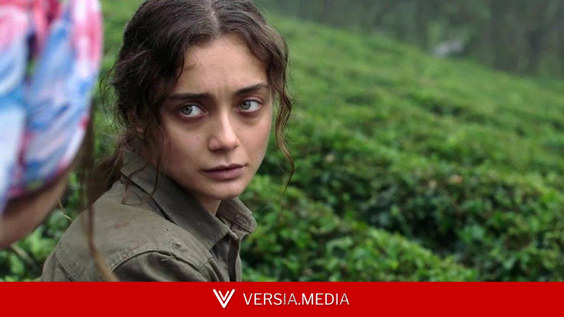 Скрывала жениха, собрала 30 гостей и отказалась от медового месяца: детали свадьбы актрисы «Дурной крови» Дамлы Сонмез