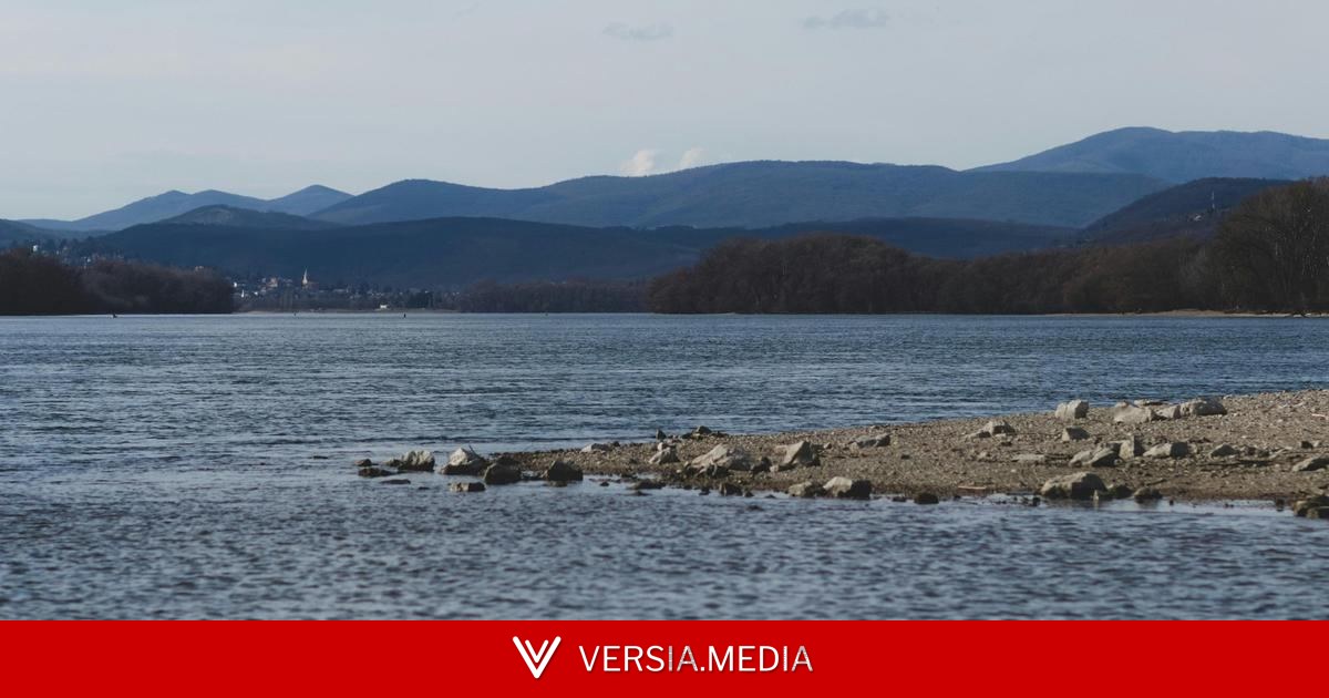 Ушла купаться с подругой и исчезла: что известно о поисках 17-летней Алисы спустя почти три недели